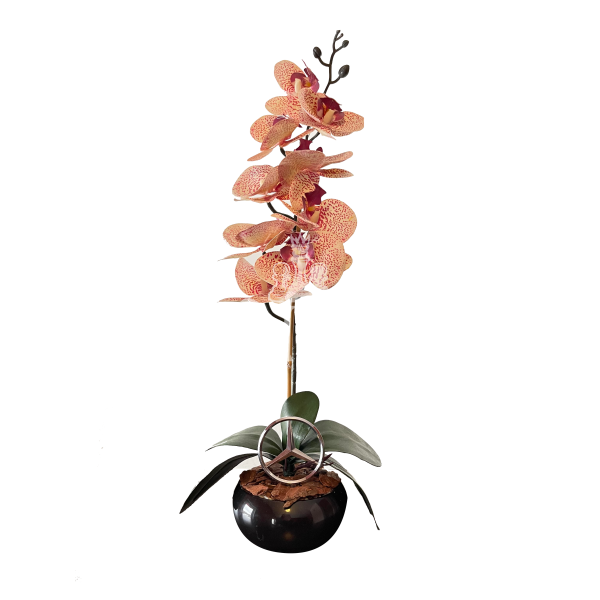 Dirbtinė orchidėja Mercedes 55cm