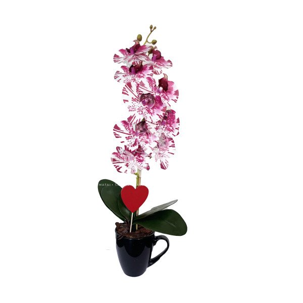 Dirbtinė orchidėja Nomeida 50cm